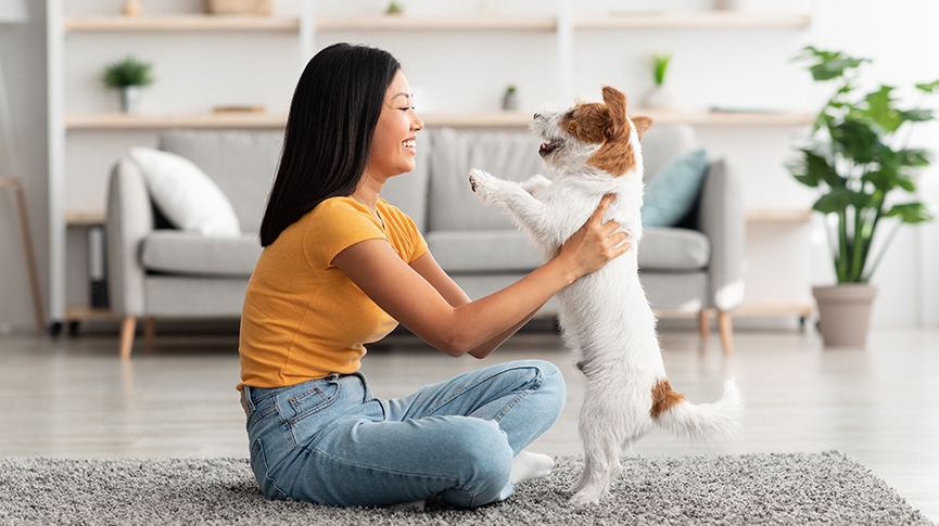 狗主必讀-11種常見狗疾病 徵狀-死亡率及預防指南